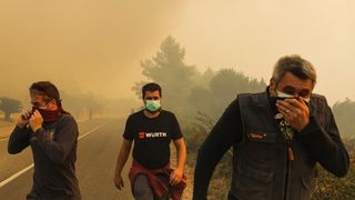 Veliki požar na Pelješcu