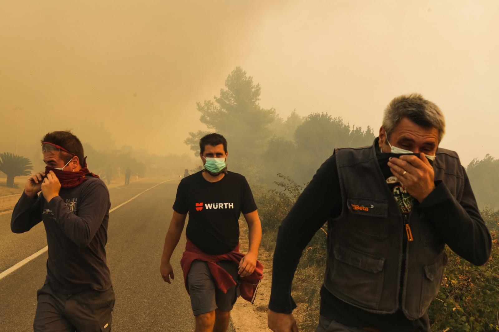 Veliki požar na Pelješcu