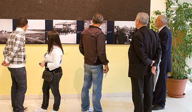 Bibinje u objektivu Ante Brkana, foto: Leo Banić