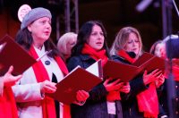 HPGD Petar Zoranić na Adventu