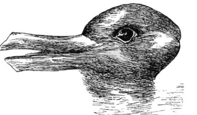 Optička iluzija- patka ili zec