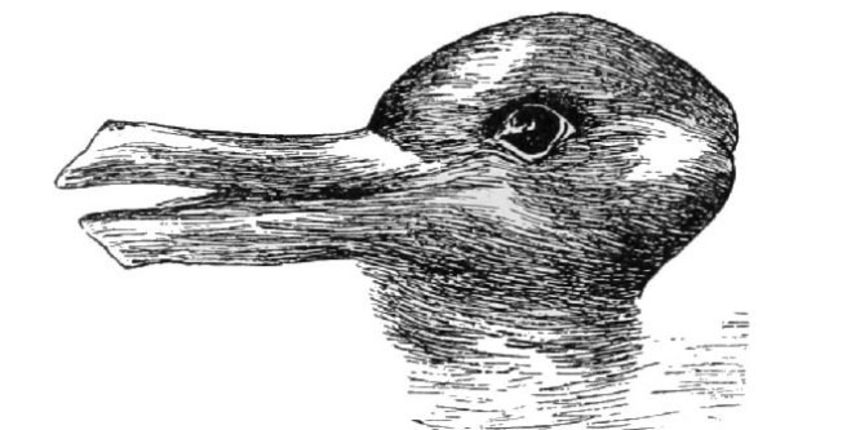 Optička iluzija- patka ili zec Optička iluzija- patka ili zec