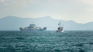 Đir po gradu 22. studenog 2016. Foto: Bojan Bogdanić Đir po gradu 22. studenog 2016. Foto: Bojan Bogdanić