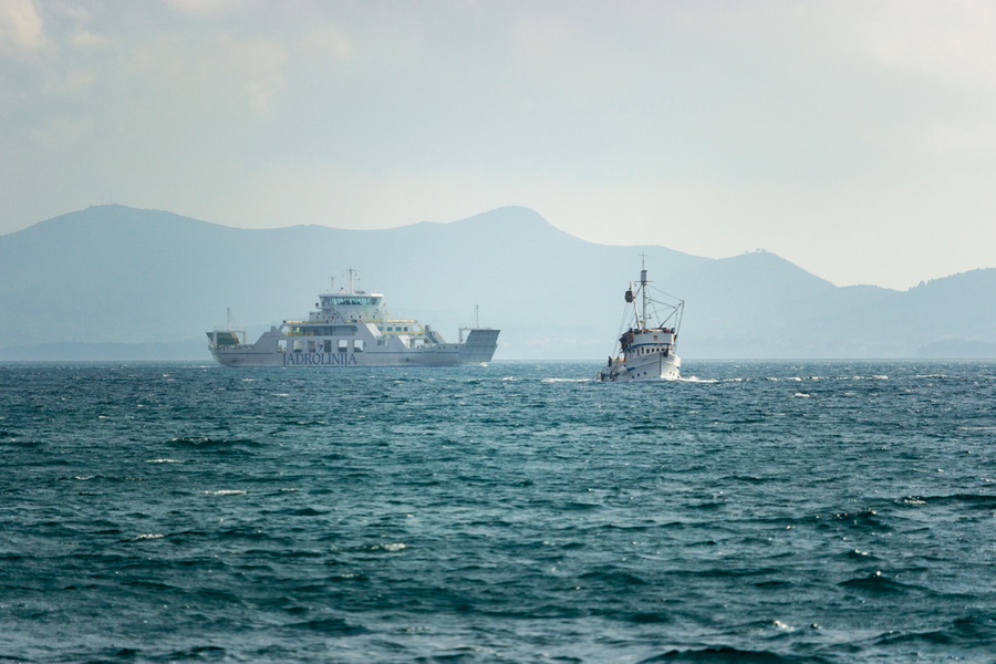 Đir po gradu 22. studenog 2016. Foto: Bojan Bogdanić Đir po gradu 22. studenog 2016. Foto: Bojan Bogdanić