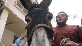 Humanitarne akcije na blagdan Sv. Lucije