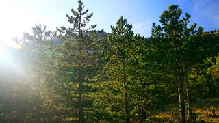 Veliko Rujno Velebit 24.9.2007.