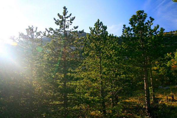 Veliko Rujno Velebit 24.9.2007.