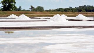 Nin – Povijesni gradic Nin pokraj Zadra za svoju prepoznatljivost ima nadaleko poznatu i najstariju hrvatsku solanu. Pod geslom “Prica o soli…” i dan danas se sol proizvodi na tradicionalan nacin. Photo: Damir Spehar/PIXSELL Nin – Povijesni gradic Nin pokraj Zadra za svoju prepoznatljivost ima nadaleko poznatu i najstariju hrvatsku solanu. Pod geslom “Prica o soli…” i dan danas se sol proizvodi na tradicionalan nacin. Photo: Damir Spehar/PIXSELL