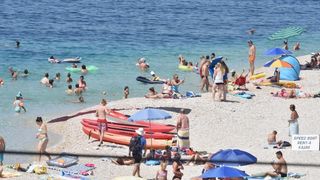 Guštanje na primoštenskim plažama. Photo: Hrvoje Jelavić/PIXSELL Guštanje na primoštenskim plažama. Photo: Hrvoje Jelavić/PIXSELL