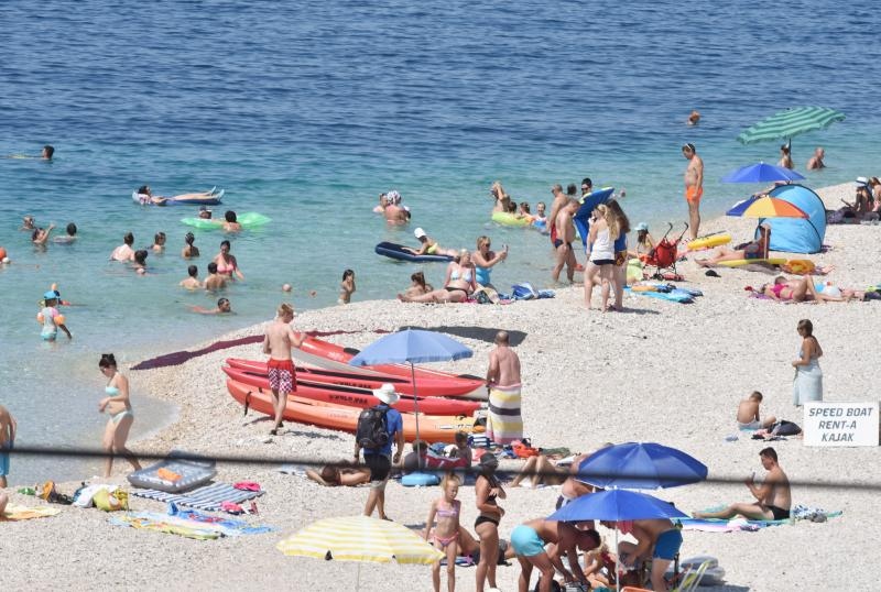 Guštanje na primoštenskim plažama. Photo: Hrvoje Jelavić/PIXSELL Guštanje na primoštenskim plažama. Photo: Hrvoje Jelavić/PIXSELL