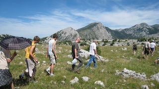 Image 1177347 (auto)