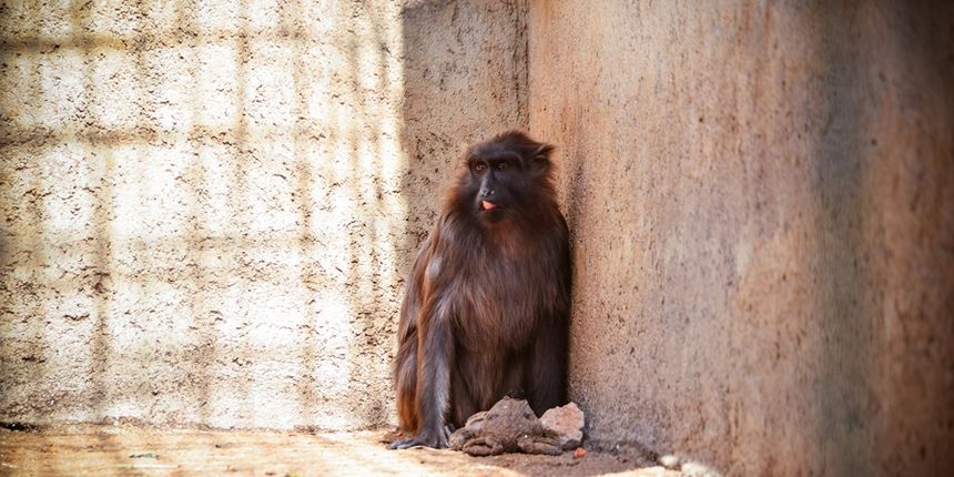 Zaton Obrovački: ZOO s egzotičnim i domaćim životinjama Zaton Obrovački: ZOO s egzotičnim i domaćim životinjama