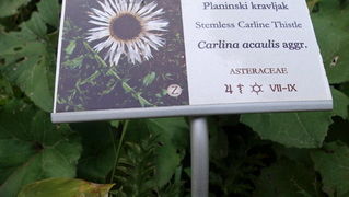 Nedjelja na Zavizanu