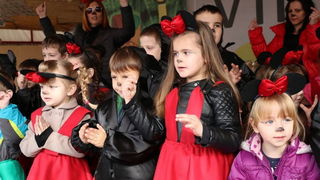 Virski karnevalić 2016. Virski karnevalić 2016.