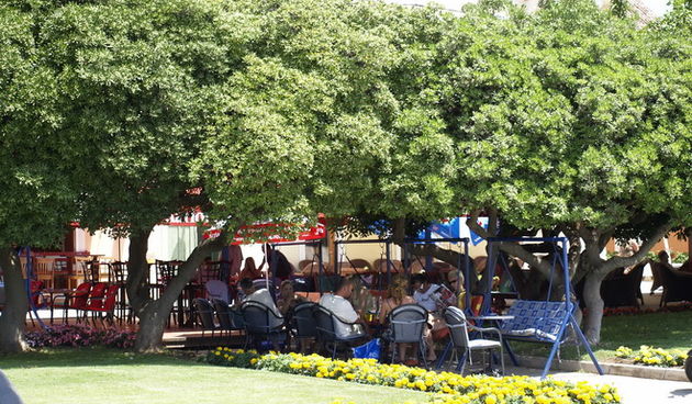 Image 1206887 (auto)