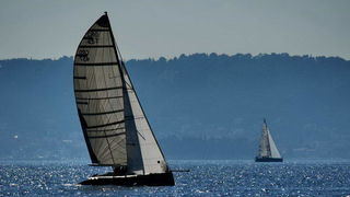 “Zadarska koka”: Regata za sve generacije snimljena iz “koke” “Zadarska koka”: Regata za sve generacije snimljena iz “koke”