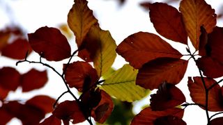 NP Plitvička jezera, listopad 2021.