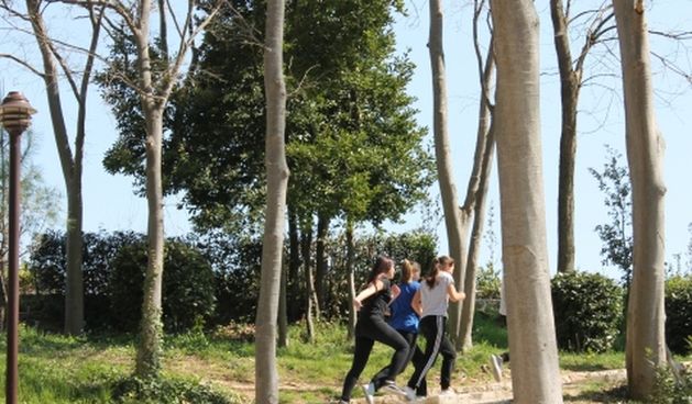 Hortikulturni zahvati u Perivoju Vladimira Nazora, foto: Grad Zadar