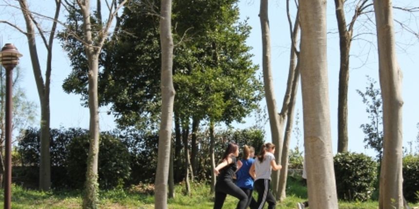 Hortikulturni zahvati u Perivoju Vladimira Nazora, foto: Grad Zadar Hortikulturni zahvati u Perivoju Vladimira Nazora, foto: Grad Zadar