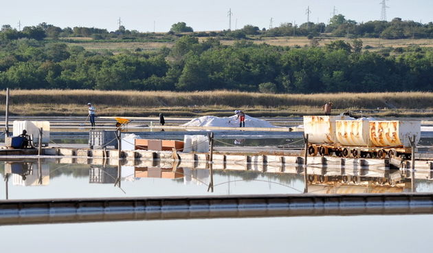 Danas je u Ninu održana berba Cvijeta soli u kojoj su sudjelovali Mate Janković, poznati hrvatski chef, Damir Oštrić, direktor Solane Nin i Marija Dejanović, direktorica Turističke zajednice grada Nina