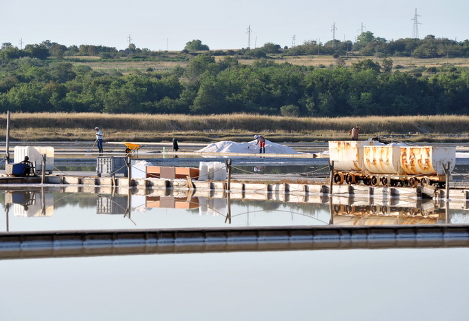 Danas je u Ninu održana berba Cvijeta soli u kojoj su sudjelovali Mate Janković, poznati hrvatski chef, Damir Oštrić, direktor Solane Nin i Marija Dejanović, direktorica Turističke zajednice grada Nina