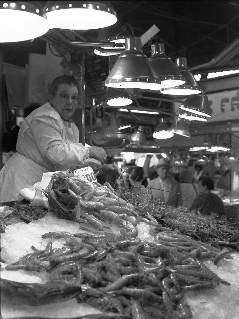 Image 1192087 (auto)