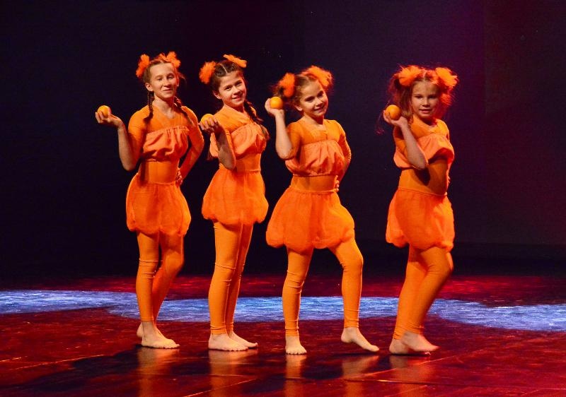 U Kazališno-koncertnoj dvorani Ivana Brlić Mažuranić započeli su Dani plesa posvećeni slavnoj hrvatskoj balerini, Brođanki, Miji Čorak Slavenskoj