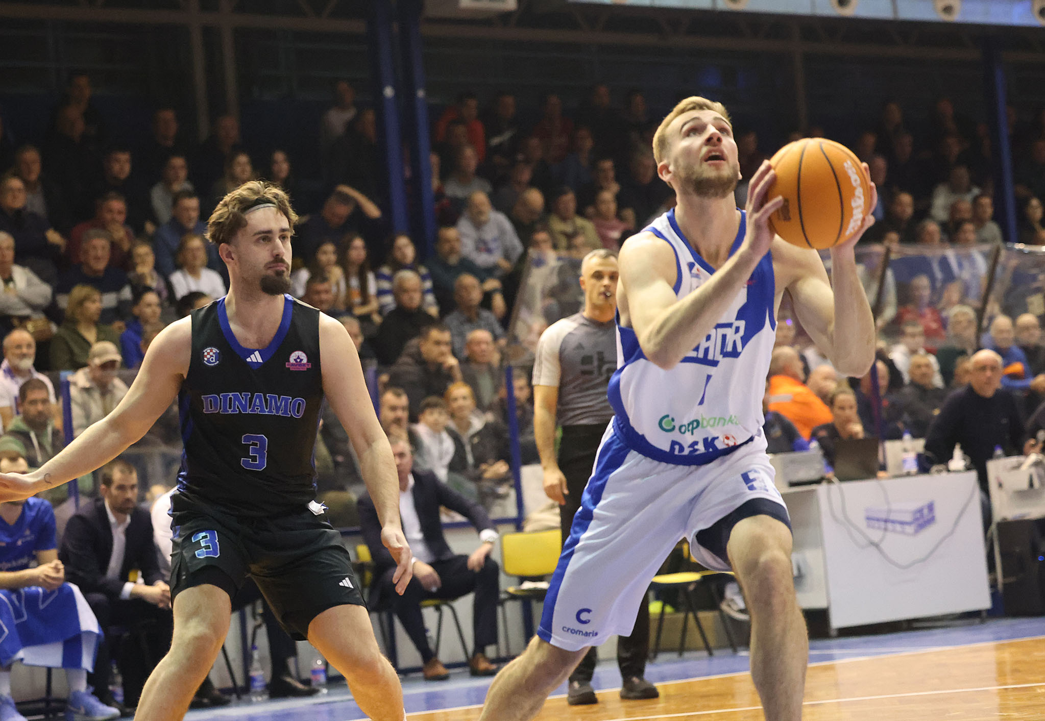 KK Zadar porazio DInamo Zagreb u 21. kolu FAVBET Premijer lige KK Zadar porazio DInamo Zagreb u 21. kolu FAVBET Premijer lige
