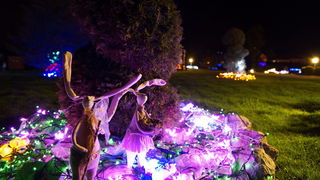 Cazma, 060412.
Obitelj Salaj iz Grabovnice kraj Cazme po prvi je put po uzoru na bozicni ugodjaj priredila i “Uskrsnu pricu”. Za tu su priliku imanje ukrasili s 2700 pisanica, zeceva, pilica i pijetlova koji svijetle po noci i ostavljaju posjetioce bez da