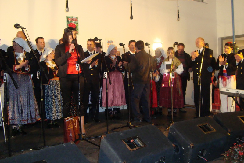 Koncert u Briševu Koncert u Briševu