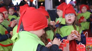 Virski Karnevalić 2017.