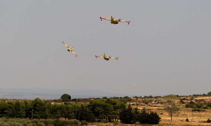 Zadar, Babindub, 230812.
Pozar u mjestu Babindub, kraj Zadra, u blizini aerodroma. Pozar je izbio medju kucama, na rubu borove sume kod vojnog aerodroma. Dio terena je miniran pa su u gasenju sudjelovali i kanaderi.
Foto: Jure Miskovic / CROPIX