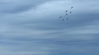 Zadar: Pozdravni prelet povodom 25. godišnjice osnutka i djelovanja eskadrile Zadar: Pozdravni prelet povodom 25. godišnjice osnutka i djelovanja eskadrile