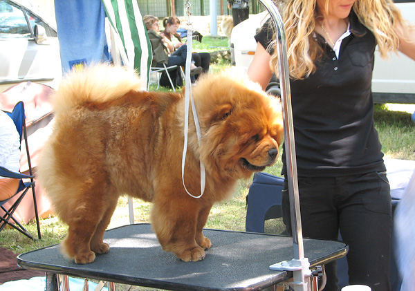 Image 1171081 (auto)