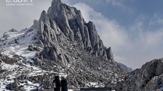 Tulove grede pod snježnim pokrivačem Tulove grede pod snježnim pokrivačem