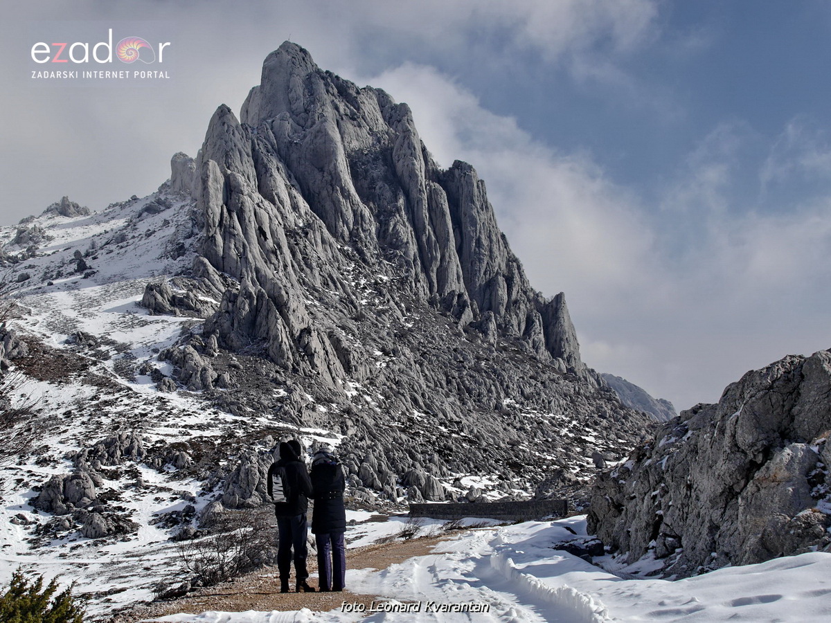 Tulove grede pod snježnim pokrivačem Tulove grede pod snježnim pokrivačem