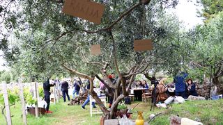 MarsOvca je novi projekt novaljske gastronomije koji na tron diže pašku ovcu