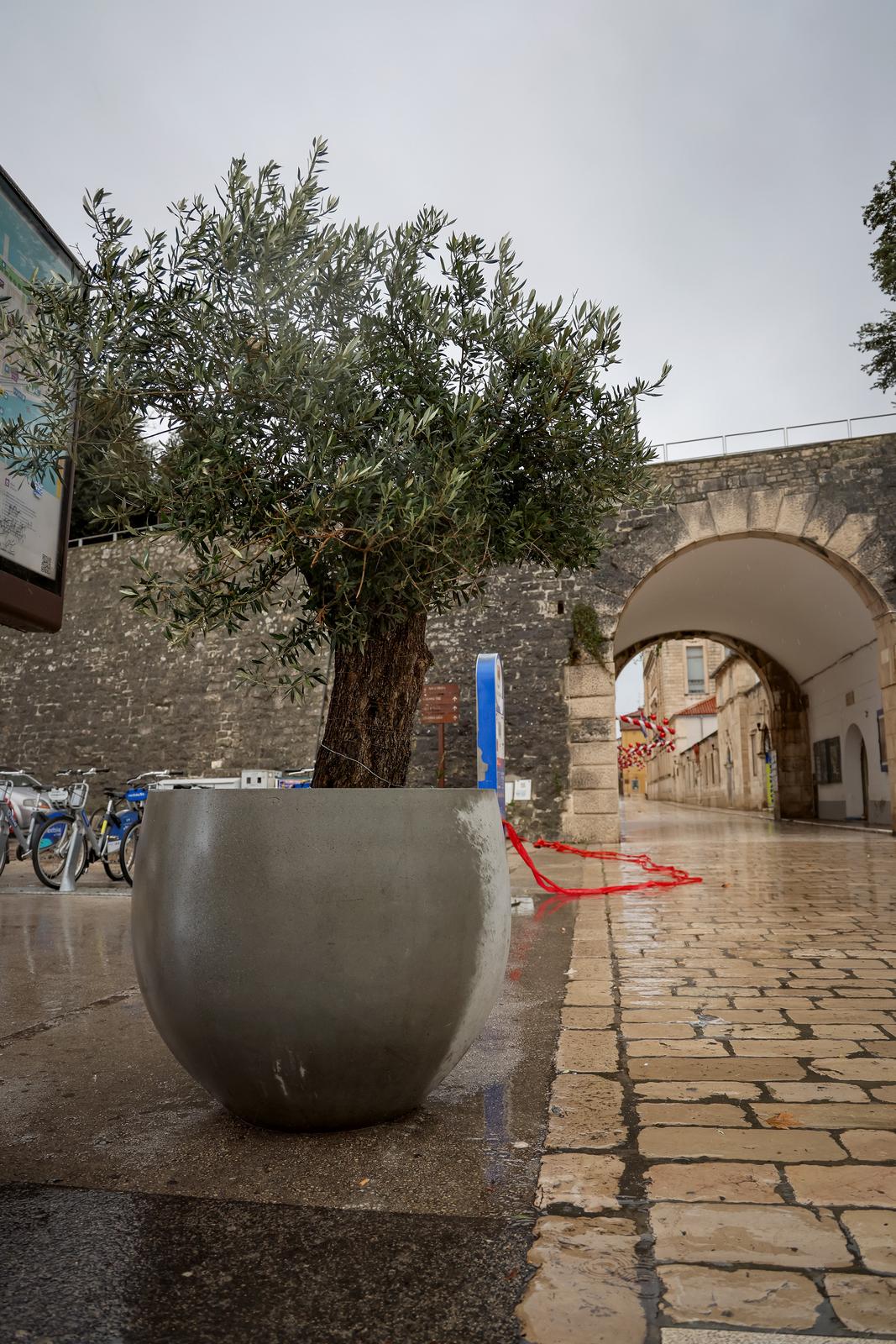 Maslina u velikoj i teškoj tegli preko noći “prošetala” do gradskog mosta Maslina u velikoj i teškoj tegli preko noći “prošetala” do gradskog mosta