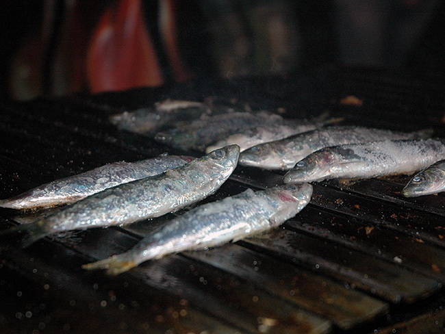 Ribarska festa zadarskih studenata u zagrebackom klubu Roko Ribarska festa zadarskih studenata u zagrebackom klubu Roko