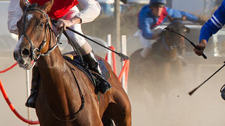 Polača: 14. Međunarodne konjičke utrke “Oluja 95”, Foto: Leo Banić Polača: 14. Međunarodne konjičke utrke “Oluja 95”, Foto: Leo Banić