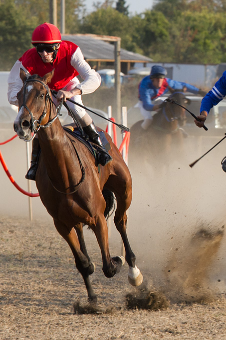Polača: 14. Međunarodne konjičke utrke “Oluja 95”, Foto: Leo Banić Polača: 14. Međunarodne konjičke utrke “Oluja 95”, Foto: Leo Banić