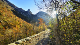 Jesen u kanjonu Velike Paklenice