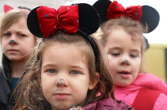 Virski karnevalić 2016. Virski karnevalić 2016.