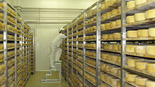 Otvaranje novog pogona Paske sirane