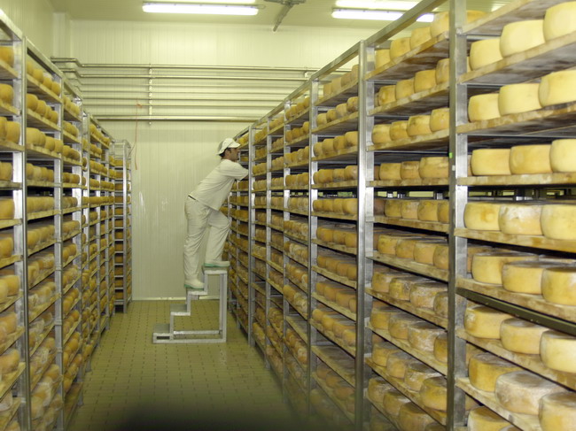 Otvaranje novog pogona Paske sirane