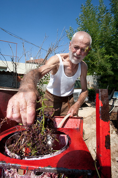 Priča o vinu: Od trsa do bačve, Foto: Leo Banić