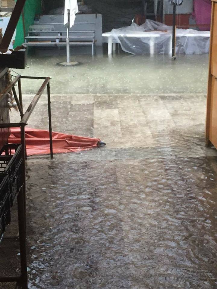 Poplava u Zadru, Poluotok