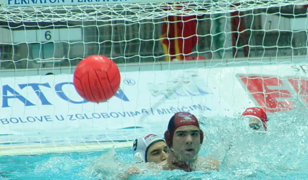 Image 1207059 (auto)