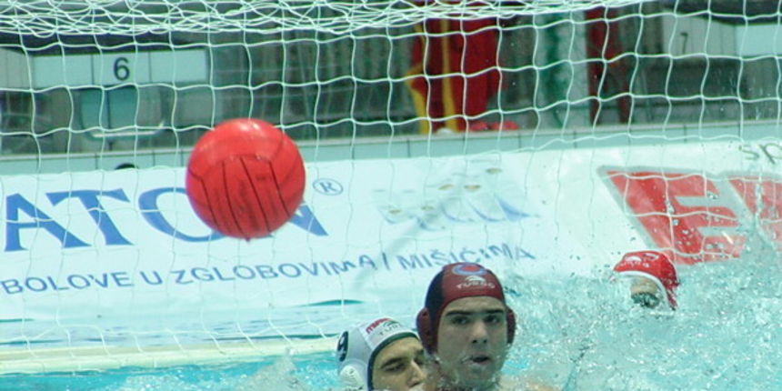 Image 1207059 (auto)