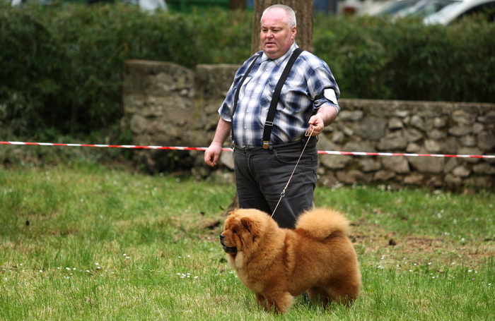 Zadar, 020513.  
Kamp na zadarskom predjelu Borik. 13. po redu medjunarodna izlozba pasa CACIB Zadar dog show 2013. 
Foto: Jure Miskovic / CROPIX